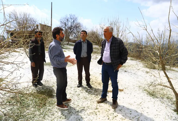 Manavgat'ta Dolu Hasarı: Tarım Alanları ve Seralar Etkileniyor