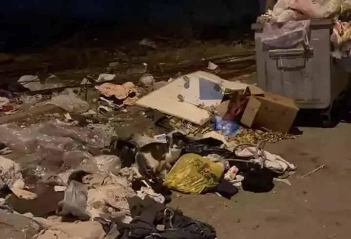 Kartal'da işçiler 'eksik ödeme yapıldığı' gerekçesiyle çöpleri toplamadı