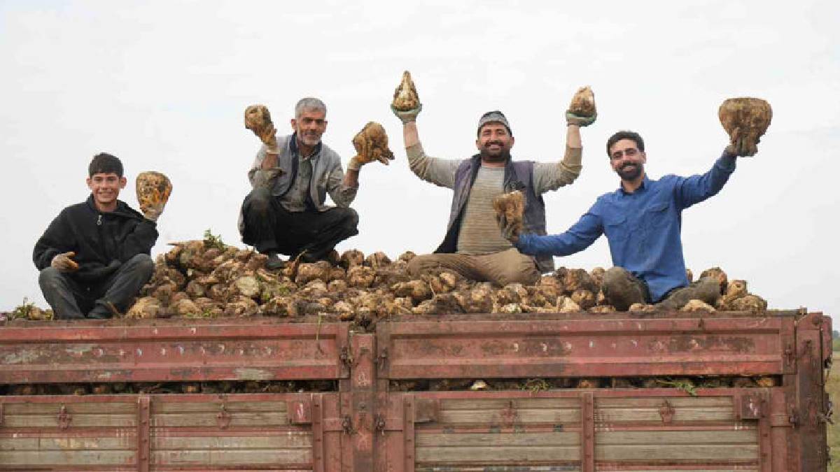 1600 Çiftçi 300.000 Tonluk Hasat Yapacak! Muş Ovası’ndan Ekonomiye 2,5 Milyar TL’lik Katkı