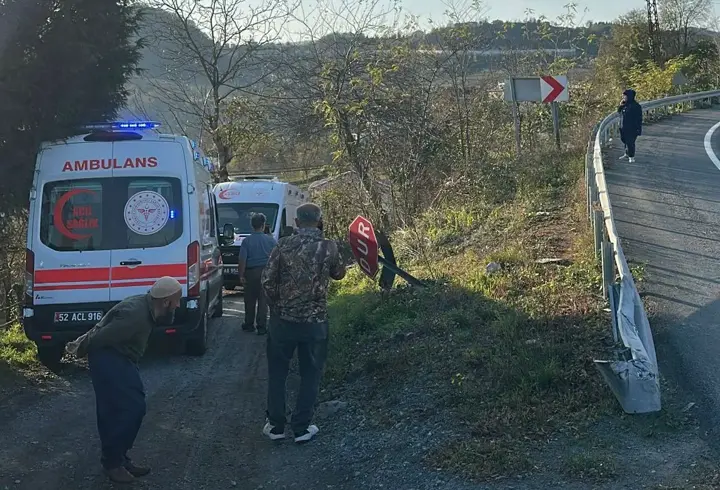 Otomobil fındık bahçesine uçtu; anne ve kızı yaralandı