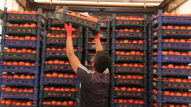 Türkiye'de gıda enflasyonu küresel gıda enflasyonunu ikiye katladı