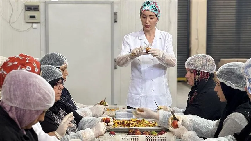Depremzede kadın girişimci kuruttuğu meyve ve sebzelerle ihracata açıldı 
