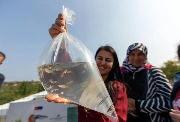 Mersin’de kadın girişimciler haşere mücadelesi için Lepistes balığı yetiştirecek