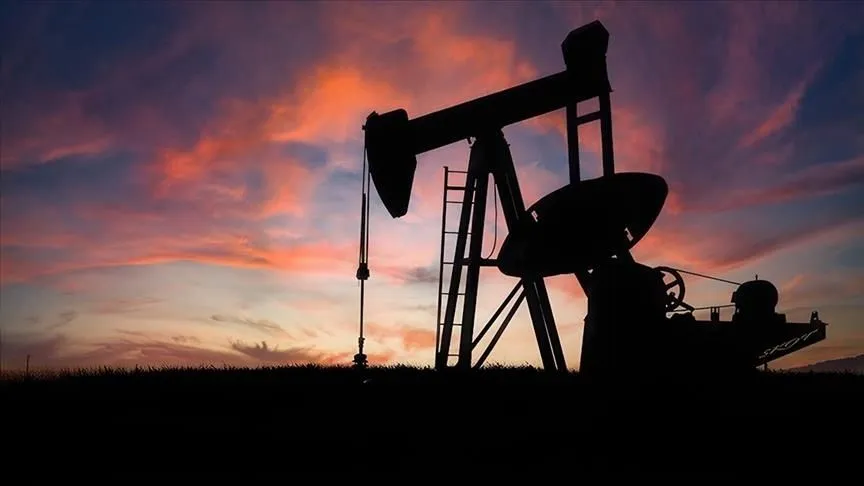 OPEC'in ham petrol üretimi mayısta günlük 183 bin varil arttı