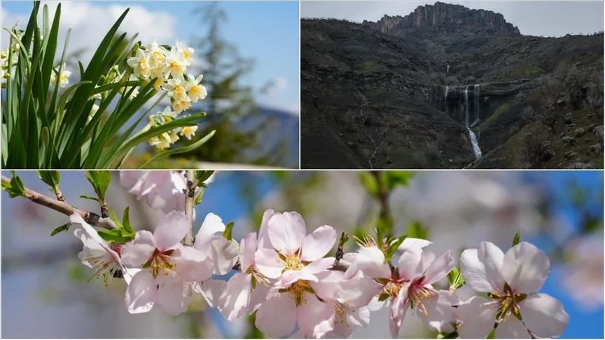 Hakkari'nin Derecik ilçesinde havanın ısınmasıyla doğa canlandı