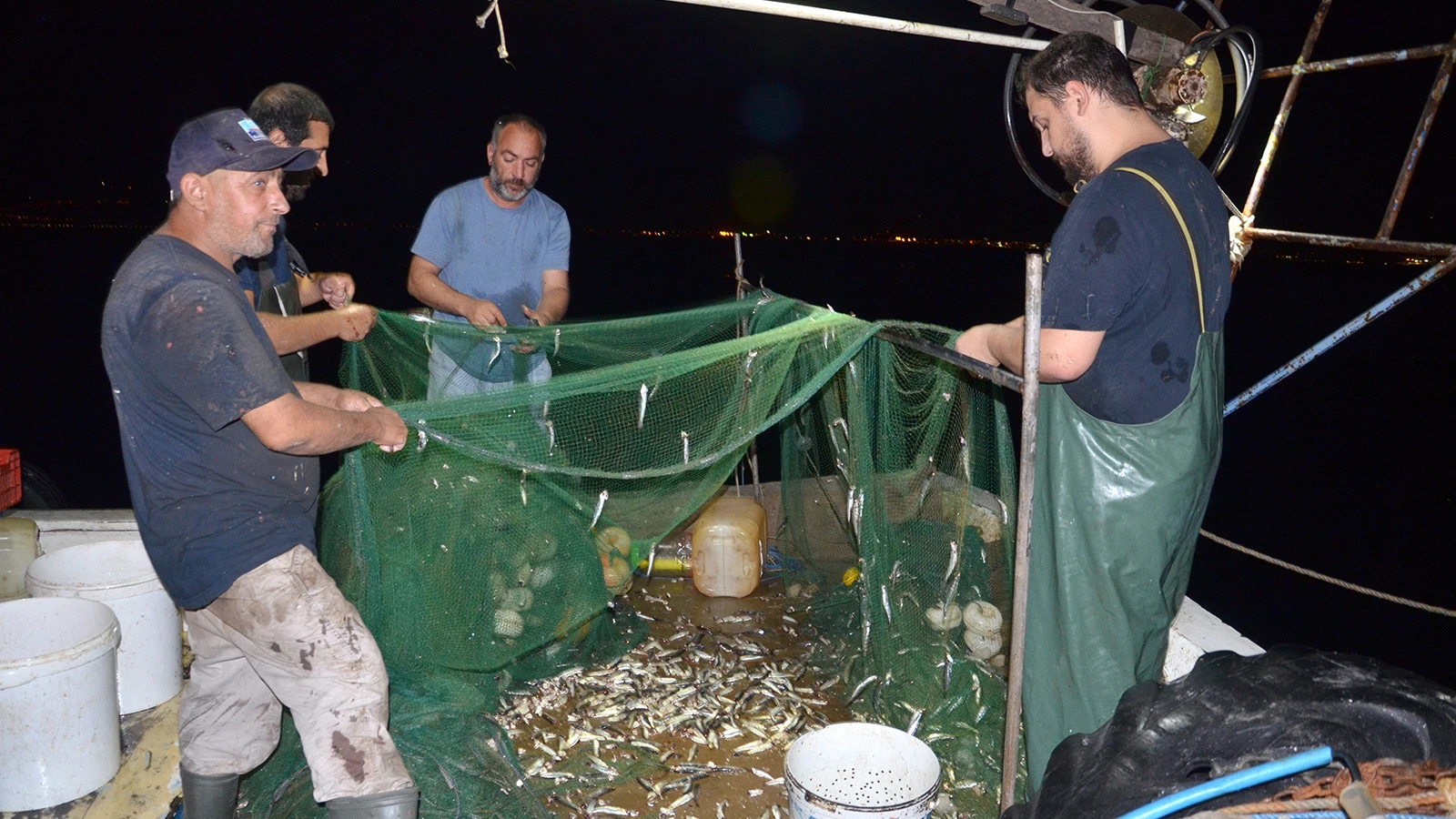 Kocaeli Ereğli Balık Hali'nde balık mezatı hareketliliği sürüyor