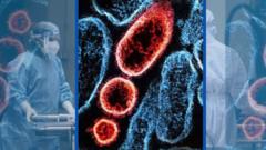 Nipah virüsü nedir, nasıl yayılıyor, ne kadar tehlikeli? 
