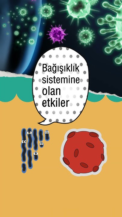 Oruç tutmanın fiziksel sağlığa 3 etkisi