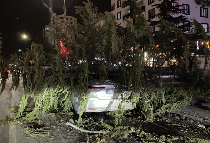 Kayseri'de kuvvetli fırtınada otomobilin üzerine ağaç devrildi