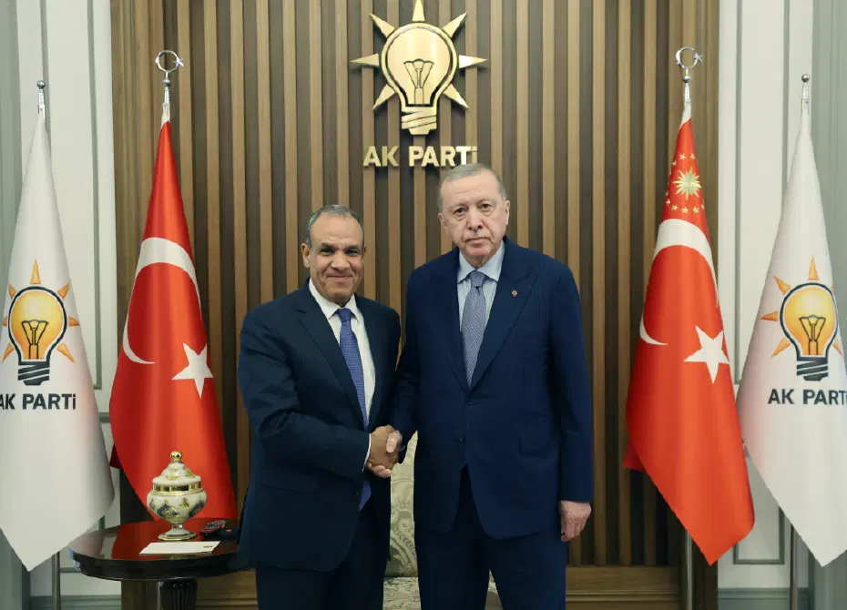 Cumhurbaşkanı Erdoğan, Mısır Dışişleri Bakanı Abdulati'yi kabul etti
