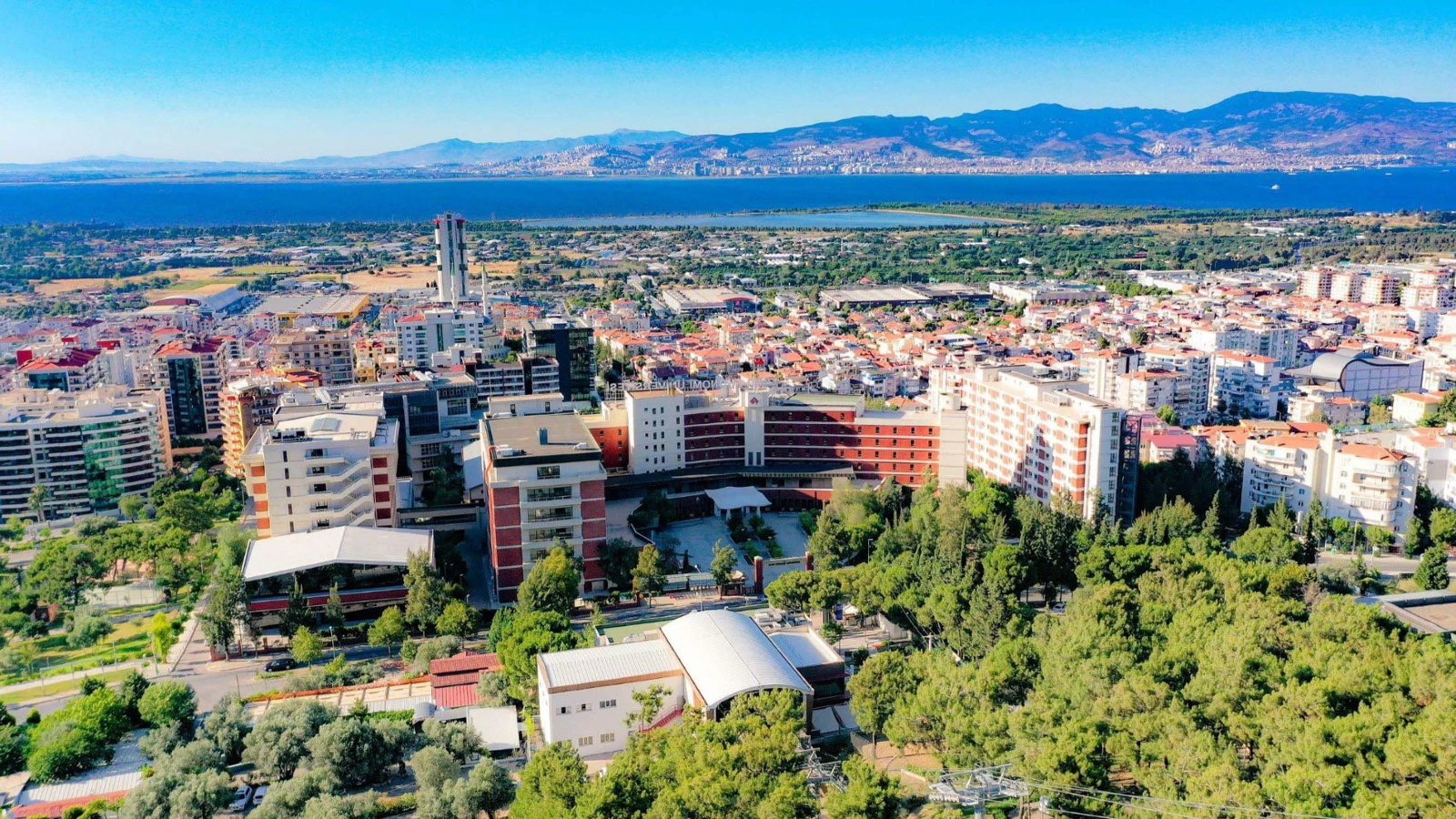 Üniversitede bu skandalla çalkalanıyor: 1 kişi tutuklandı