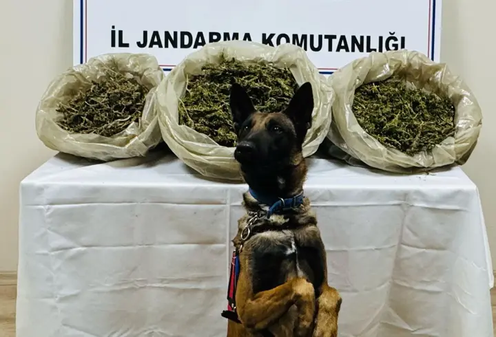 Batman'da ele geçirilen 21 kilo uyuşturucuya 1 tutuklama