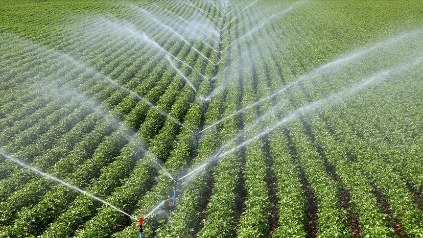 Çiftçilere 306 milyon 541 bin 763 lira tarımsal destek ödemesi bugün yapılacak