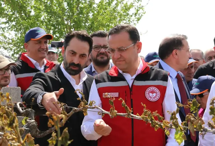 Bakan Yardımcısı Gizligider: 36 bin 738 üreticimiz don zararına uğradı