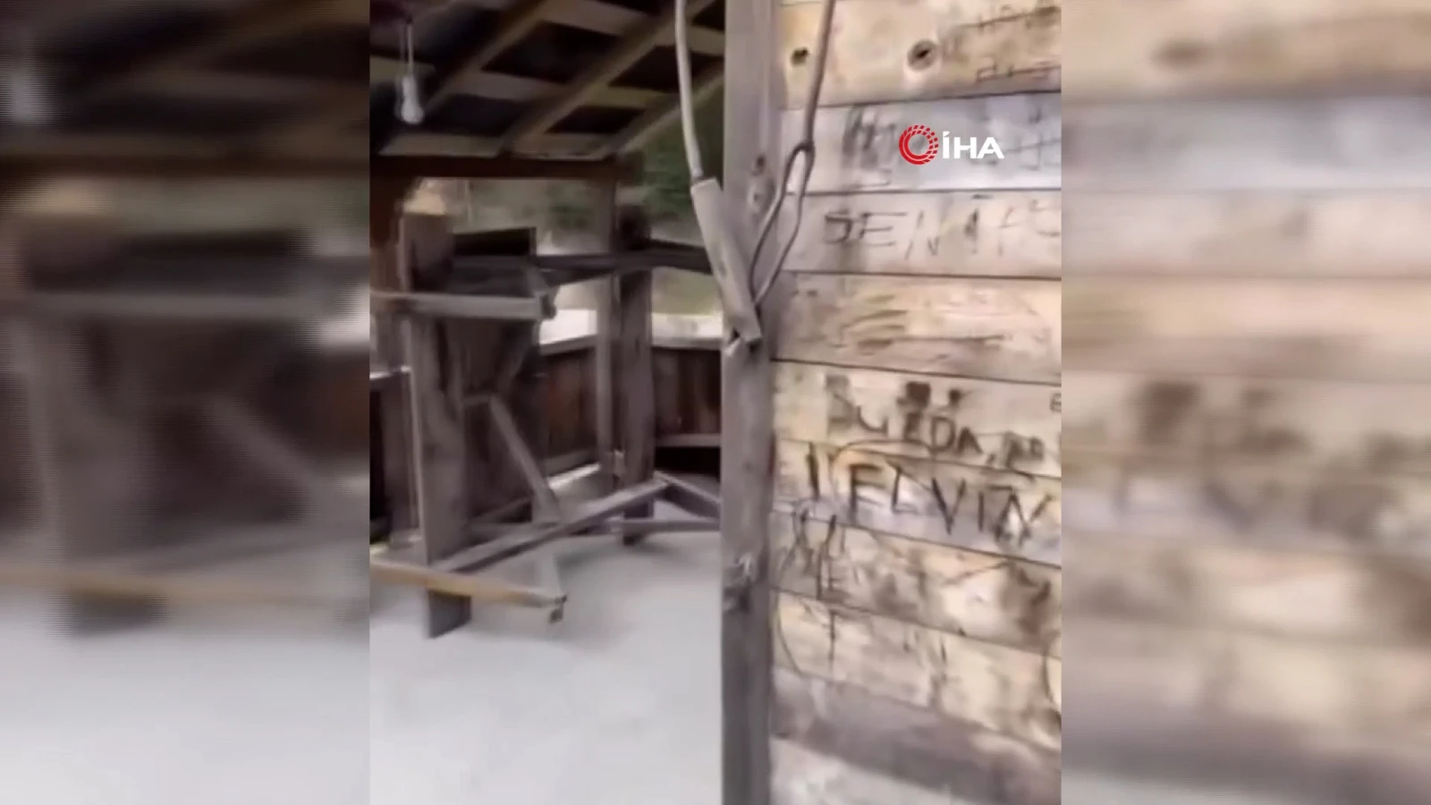 Yayla evlerinden sonra bungalovlara dadandılar: Rize'de ayı krizi