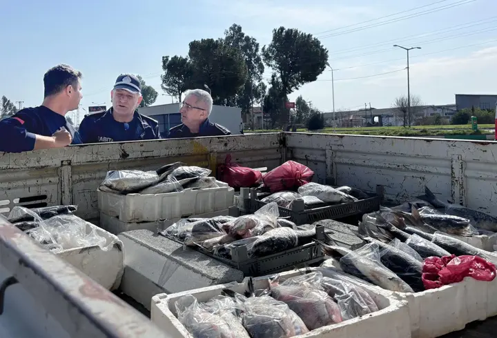 Tarsus’ ta sağlıksız koşullardaki 750 kilo balık ele geçirildi