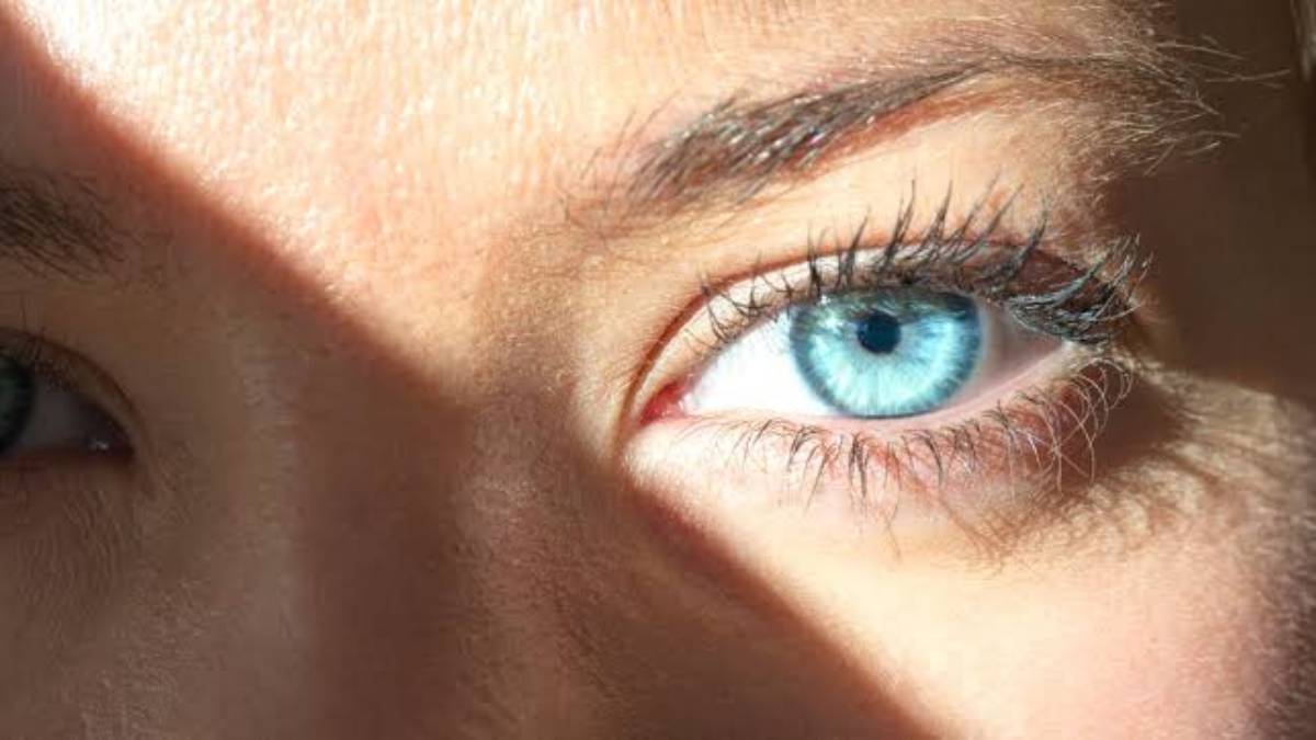 Körlük Tedavisinde Umut Veren Araştırma: Retina Işığa Duyarlı Hale Getirildi