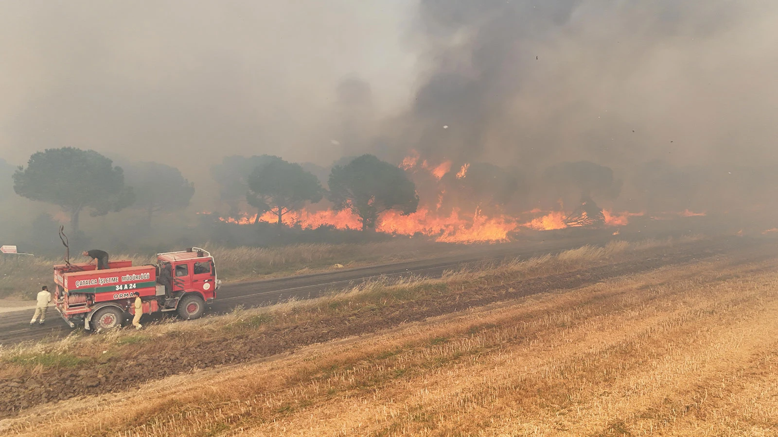 Silivri'deki orman yangınına ilişkin 2 kişi tutuklandı