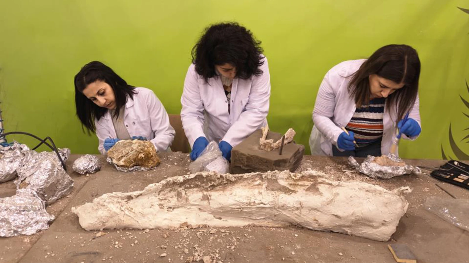 7,7 milyon yıllık heyecanlandıran buluş; öncekilerden daha genç