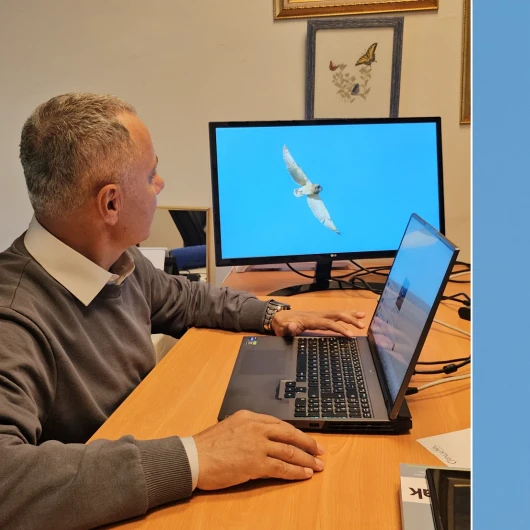 Zonguldak'ta Heyecanlandıran Keşif: İlk Kez Görüntülendi