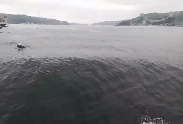 Deprem anında İstanbul Boğazı'nda dalgalar oluştu