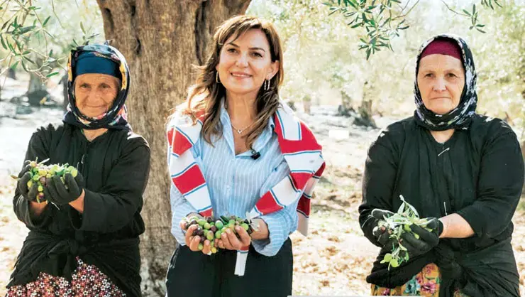 Zeytinde 800 Bin Tonluk Hasat Sezonu Açıldı