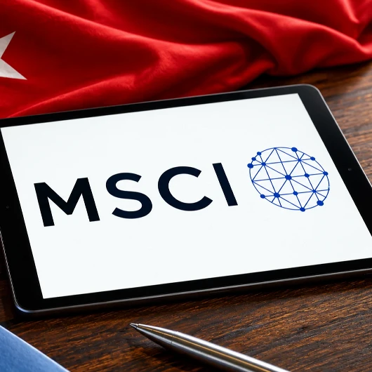 Mscı’den Türkiye Endekslerine Dondurma Kararı: Endonezya’da Sert Satış