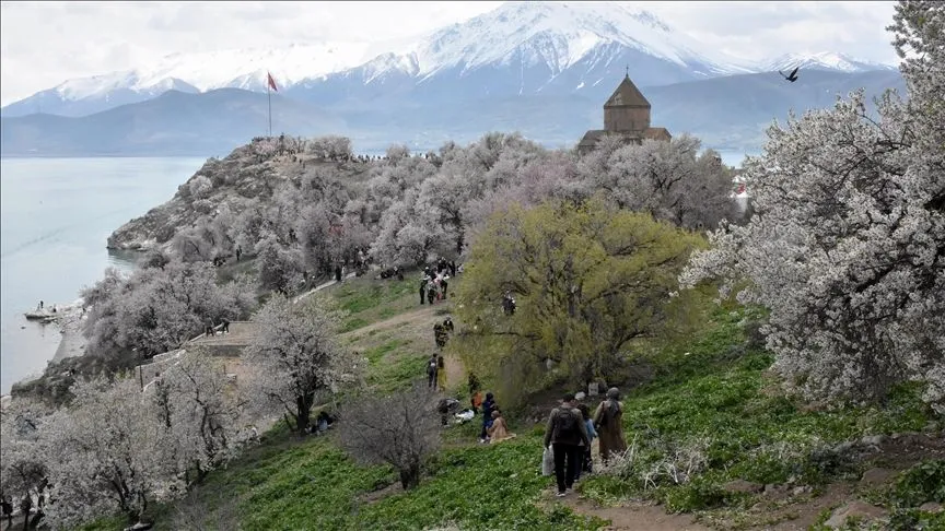 Van'da "3. Akdamar Adası Badem Çiçeği Festivali" sürüyor