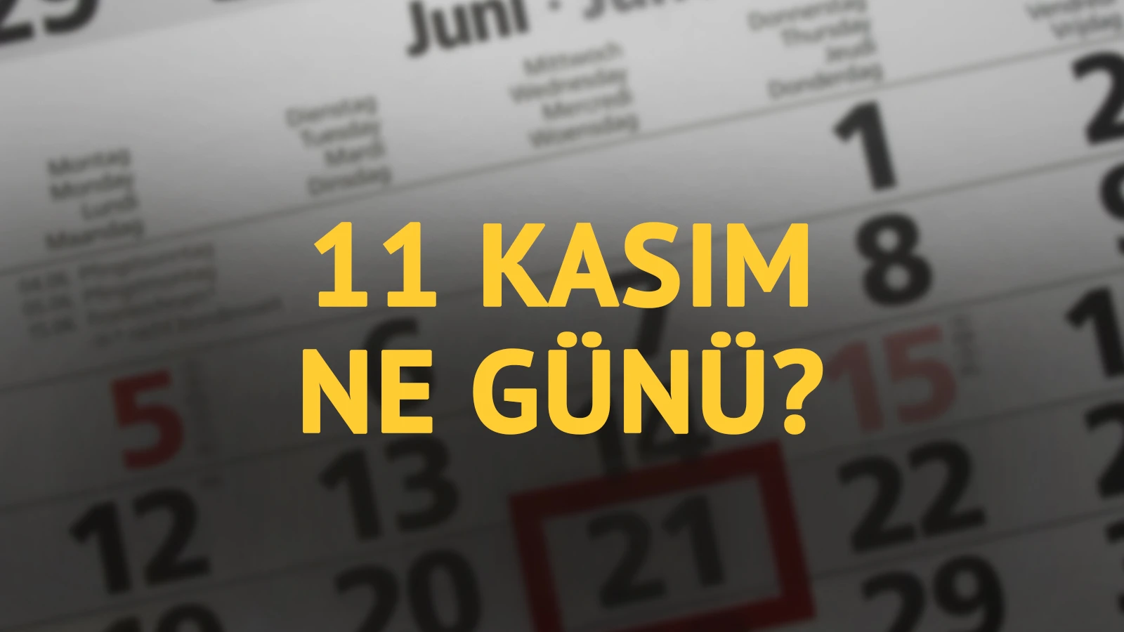11 Kasım ne günü? 11 Kasım'ın anlam ve önemi ne?