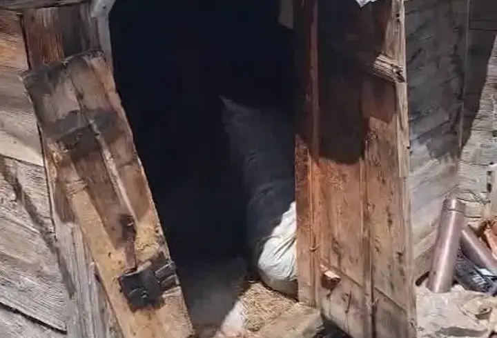 Rize'de Kış Uykusundan Uyanan Ayılar 30 Eve Zarar Verdi