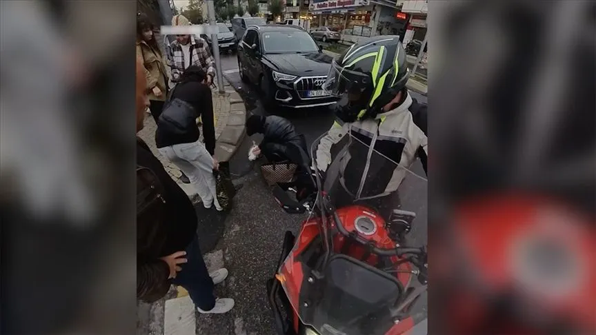 Ataşehir'de otobüse çarpan martının kalp masajıyla hayata döndürülmesi kamerada