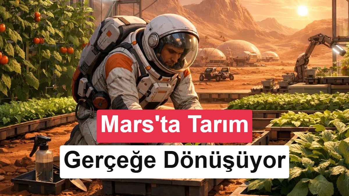 Mantarlar, Mars'ın verimsiz toprağını geleceğin tarlalarına dönüştürebilir