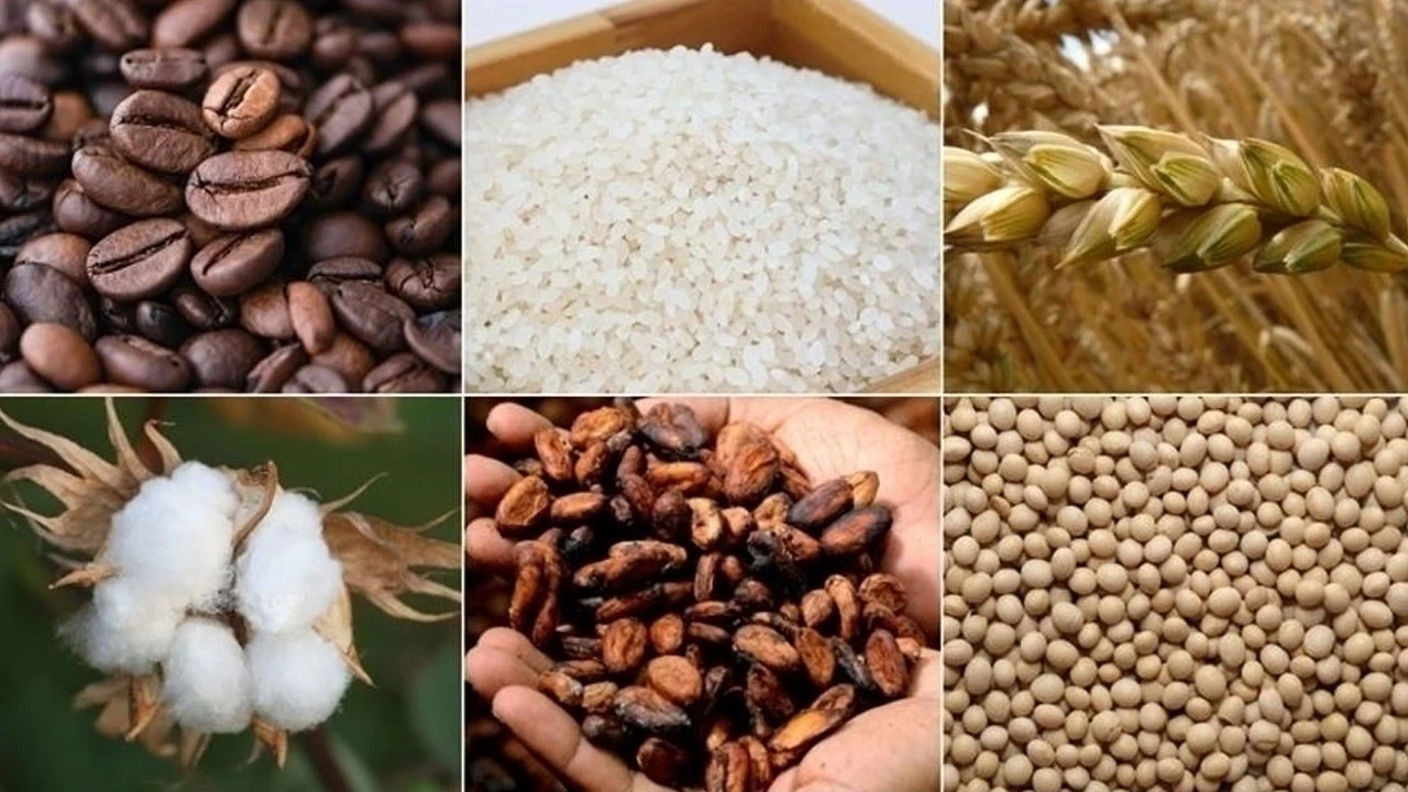 Emtiada barış rallisi: Değerli metaller yükseldi, enerji geriledi