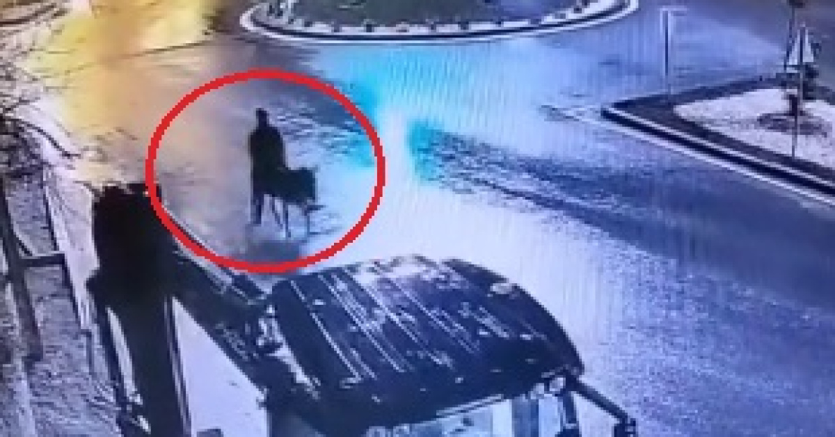 Eşekle kaçan hırsızın ifadesi ortaya çıktı!