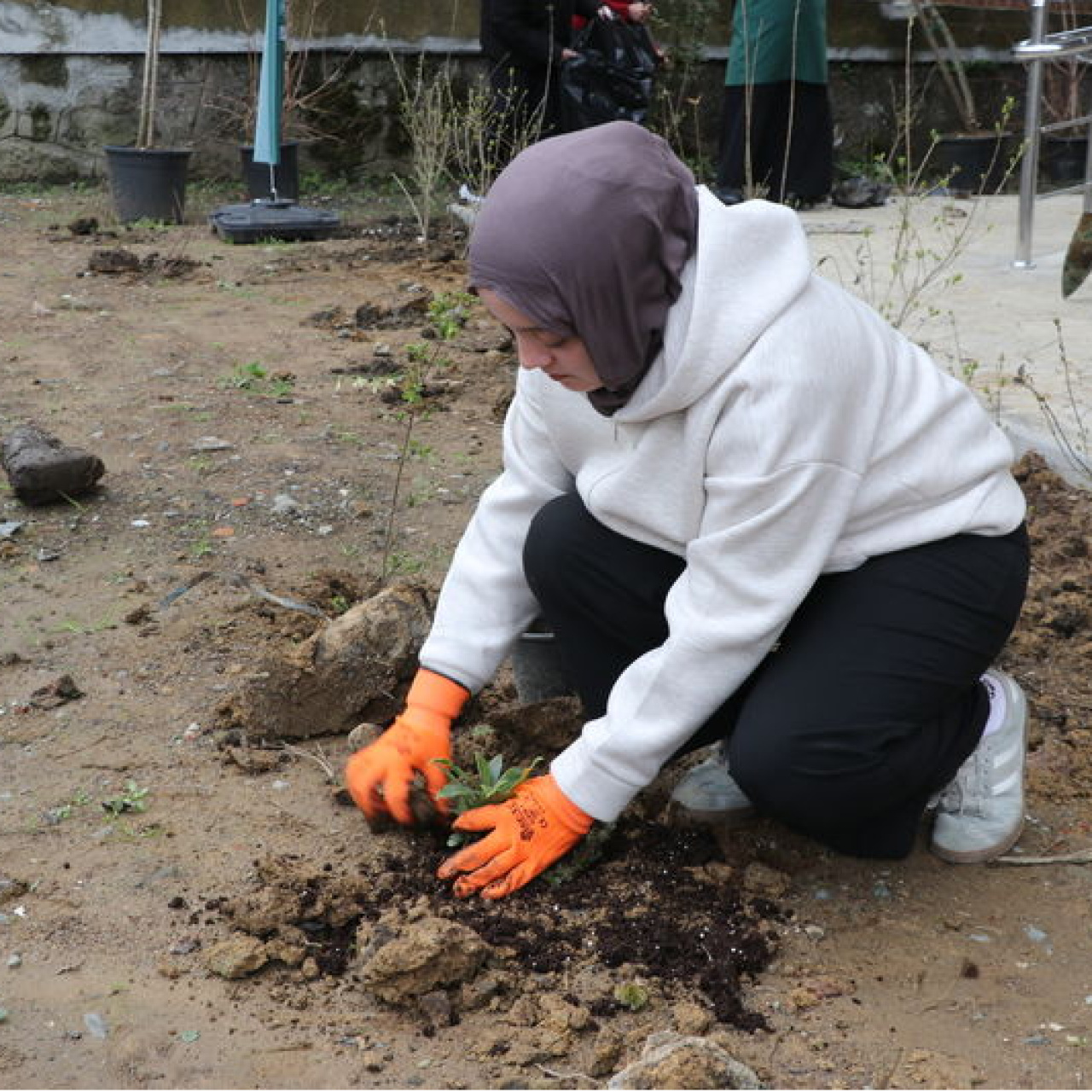 Rize'de "Yeşilay Haftası"nda fidan dikimi