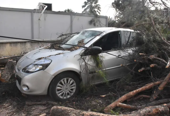 İzmir’de kuvvetli rüzgarda park halindeki otomobilin üzerine ağaç devirdi