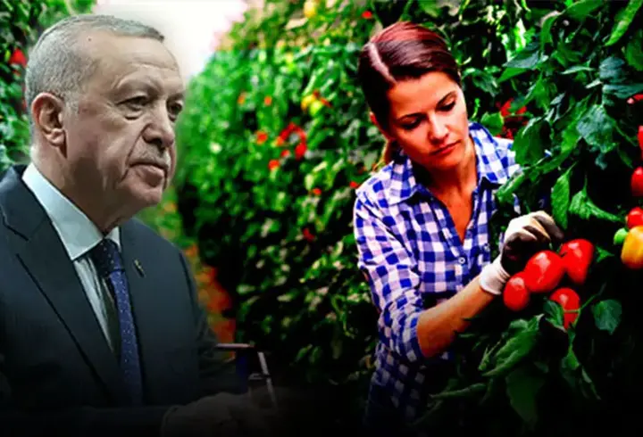 Tarımda yol haritası belli oluyor... Kararları Cumhurbaşkanı Erdoğan açıklayacak