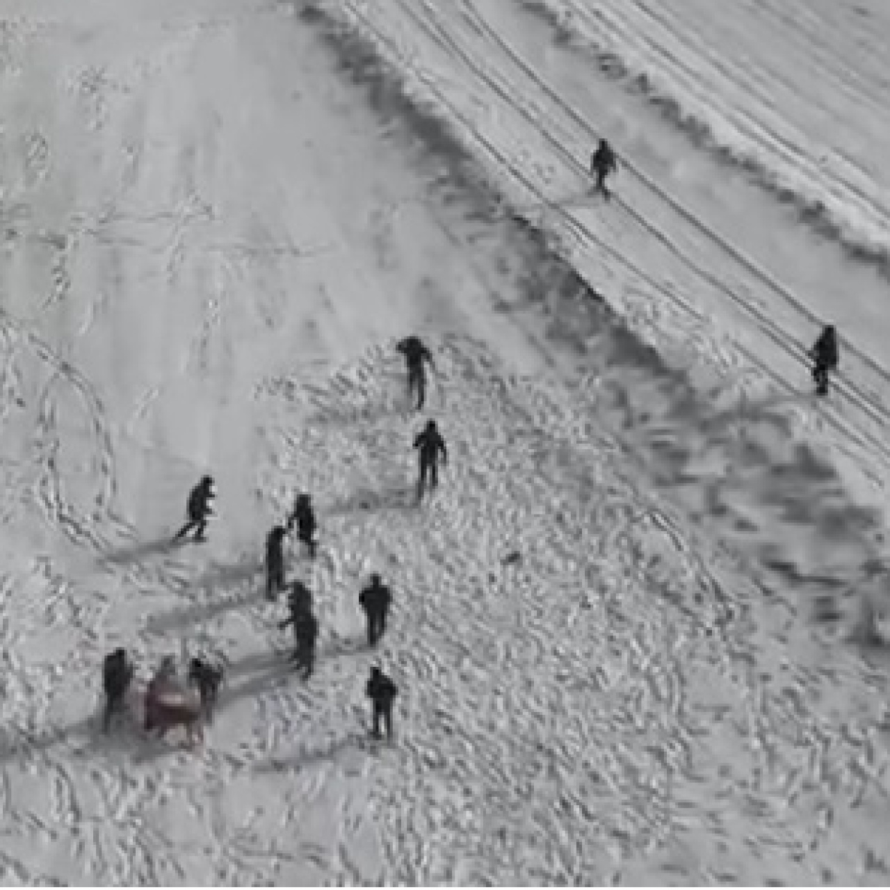 Köpek dövüştürenler drone kamerasına yakalandı!
