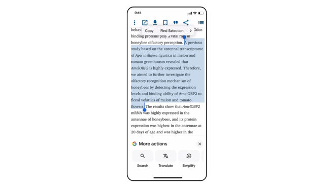 Google, iOS uygulamasına metin sadeleştirme özelliği ekledi