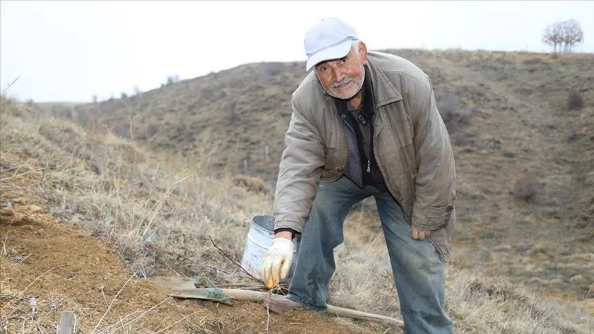 Emekli öğretmen, hünnap üretimini yaygınlaştırmaya çalışıyor