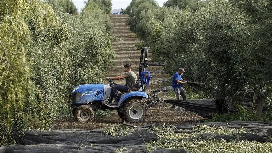 İspanya, Orta Doğu'daki çatışmaların etkilerine tedbir olarak tarım ve hayvancılığı destekleyecek