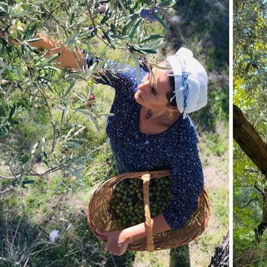 Ünlü Oyuncu İstanbul'u Terk Edip Köye Yerleşmişti: Zeytin Hasadına Başladı