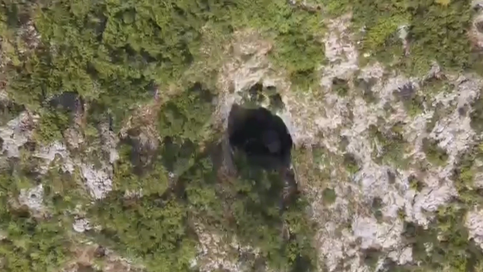 147 metre derinlikteki gizem... Dronla görüntülendi!