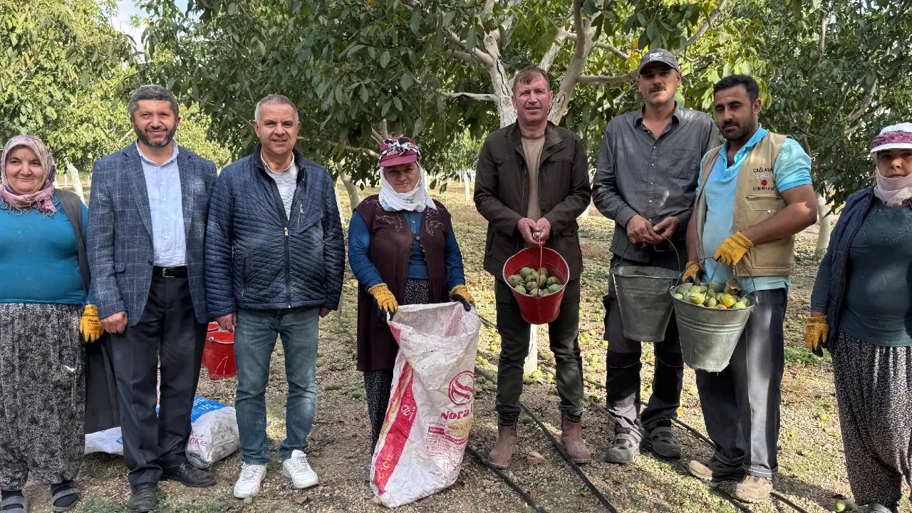 'Burada Yetişmez' Diyenleri Utandırdı! 10 Yılda 15 Tonluk Dev Servet Çıkardılar