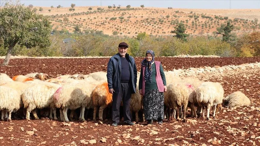 İkinci baharlarında belediyeden aldıkları destekle besici oldular