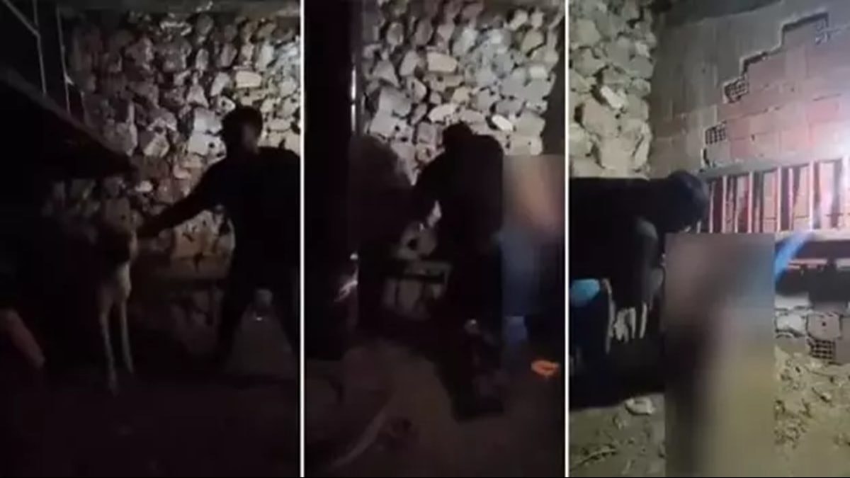 Tepkiye neden olmuştu: Ahırda işkenceye yeniden gözaltı