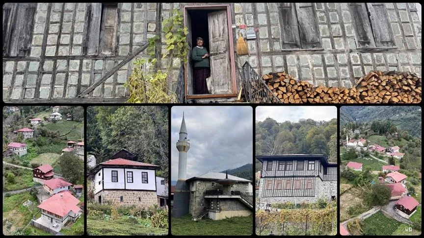 Kestane ağacından yapılan tescilli evler Arılı köyüne ziyaretçi çekiyor