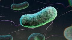 Antibiyotik direnci bir yılda üç milyon çocuğun ölümüyle ilişkilendiriliyor