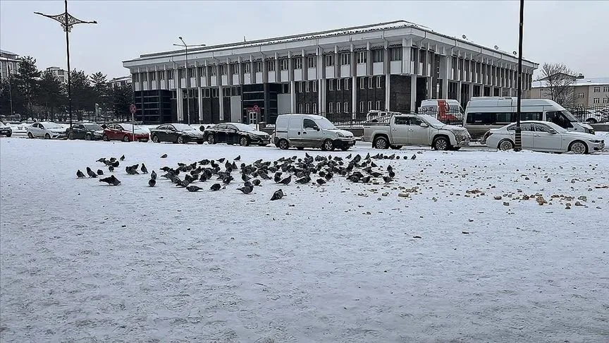 Doğu Anadolu'da soğuk ve kar etkisini sürdürüyor