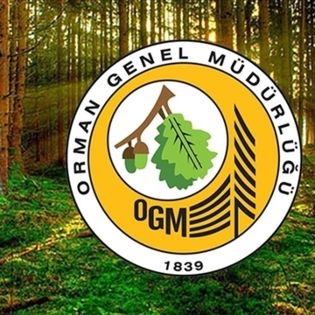 OGM işçi alımı kura sonuçları ne zaman açıklanacak?